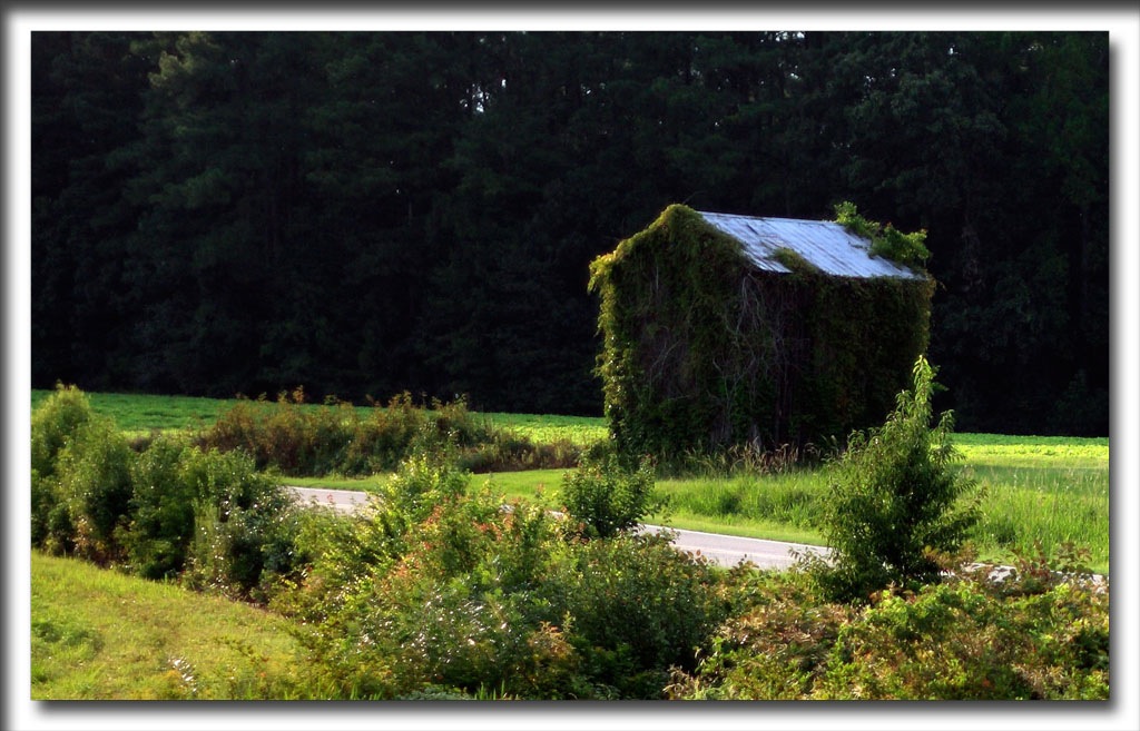 Barn